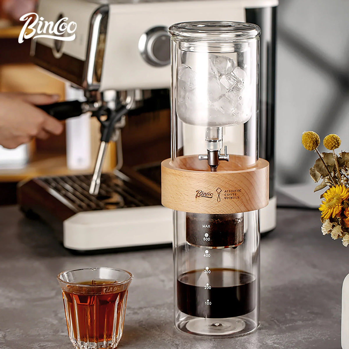 Portable Glass Cold Brew Coffee Pot