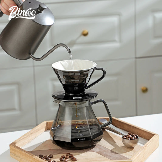 Bincoo Ceramic Coffee Filter Cup V-Style Reusable